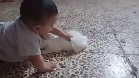 Cat and cute Baby lovely moment 💯👍