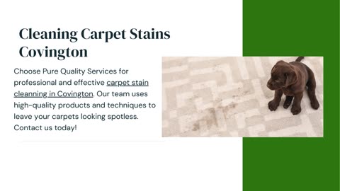Cleaning Carpet Stains Covington