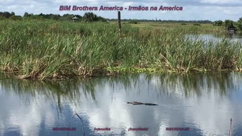 Viera Wetlands + Ritch Grissom Memorial Park + MELBOURNE + FLORIDA + ESTADOS UNIDOS + USA - Part 6/8