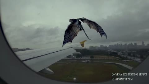 Real Dragon following flight in Ghana to the Airport