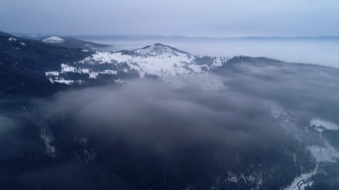 Winter forest during sunrise, aerial view