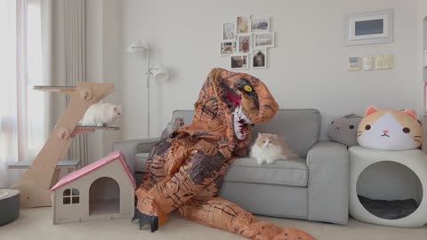 Cats vs Dinosaur