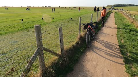 Croes and ravens at stone henge