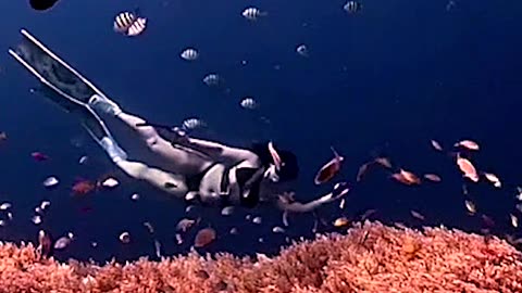 A free divers dreamland - THE PHILIPPINES