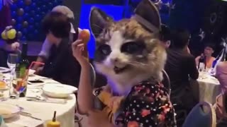 When the cat goes to the event !