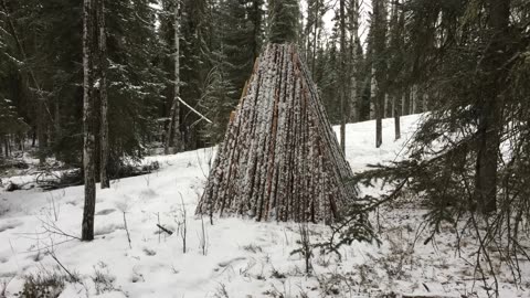 Building a Log Home in the Canadian Wilderness (Pt. 4)