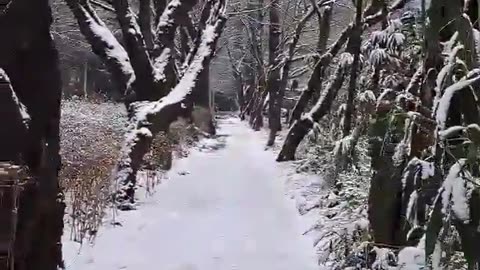 a walk in the snow