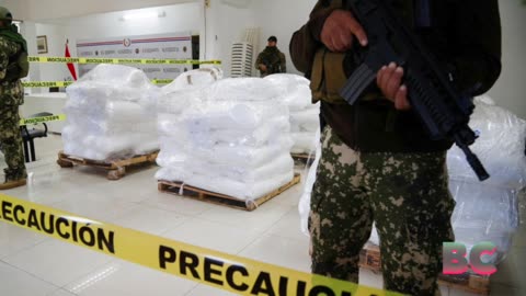 Paraguay carries out largest cocaine bust in its history as 4 tons are found in sugar shipment