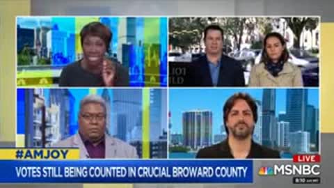 Joy Reid suggests racism behind criticism of Brenda Snipes