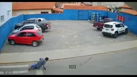 the Dog Ran So Fast That It Hit A Person