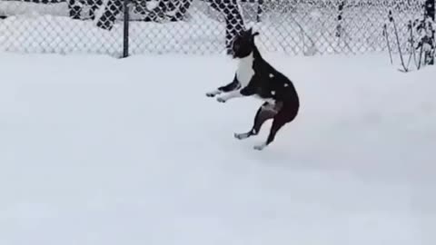 Catching Snowflakes