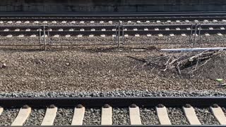 Amtrak whisk by Rahway station