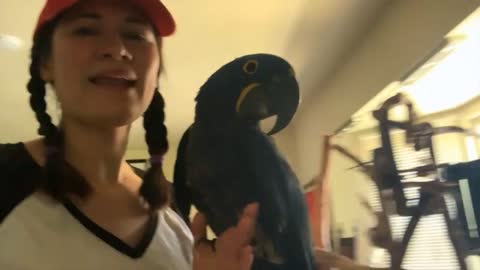 How to Train Your Parrot