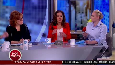 Meghan McCain calls out View co-hosts for double standard on data mining