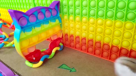 Hamster Pop It Maze - little funny Pet