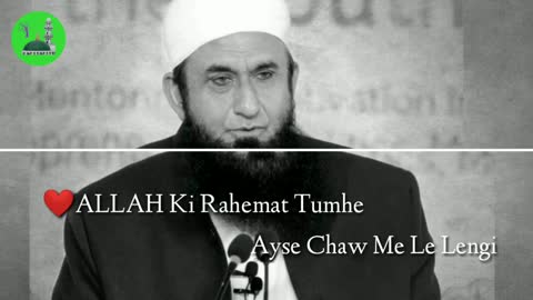 Molana tariq jameel whatsapp status