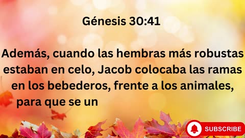 "Las Luchas de Raquel y Lea: Prosperidad y Promesas de Jacob" Génesis 30:1-43