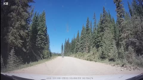 Corkscrew Mountain drive (Second part)