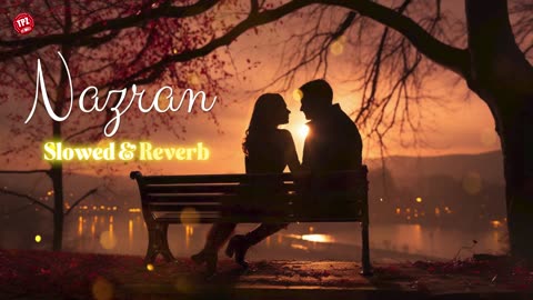 Nazran _ Trending Slowed _ Reverb Songs _ Lofi Mix _ Latest Punjabi Song 2024 _ #romantic
