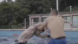 MMA in water 😂 #mma #boxing