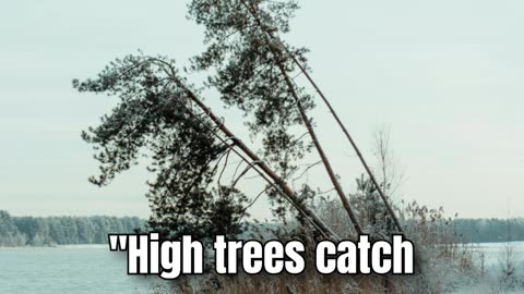 #001 - Typical Dutch ‐ "High trees."