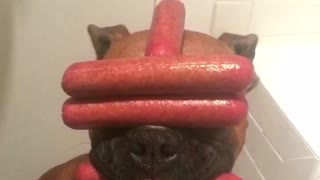Dog sausage stacked on face