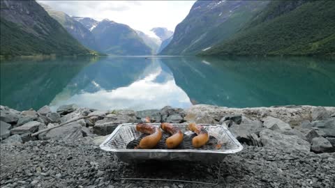 grilling sausages on disposable barbecue grid beautiful nature norway