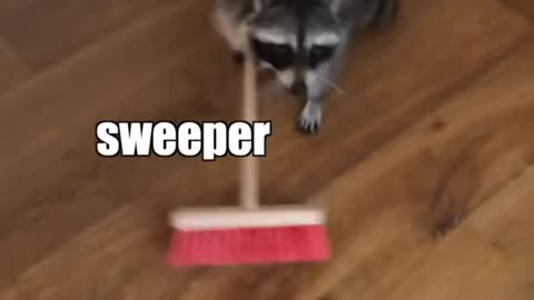 Good house cleaner