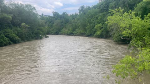3 days of rain aftermath on the Humber River