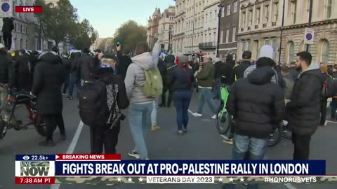 Israel war: Pro-Palestine rally turns violent