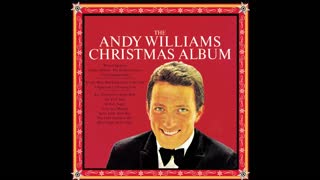 Andy Williams - It's the Most Wonderful Time of the Year