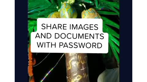 Share Images And Documents With Password