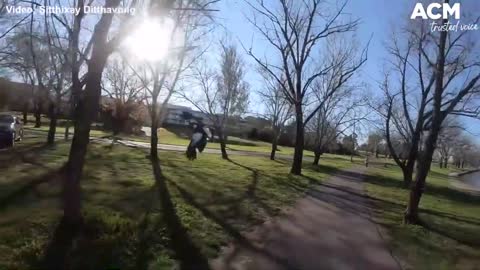 Magpie swoops on cyclist by Lake Burley Griffin, Canberra | September 24, 2021 | Canberra Times