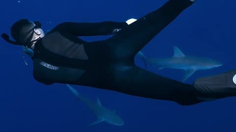 A Man Shorkeling with Sharks
