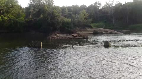 17.5.2024 The Barron River, Kuranda