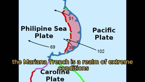 The Marina Trench | Deepest Point of the Earth