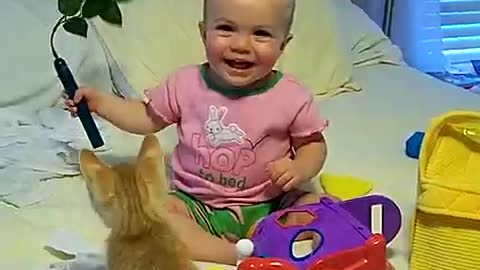baby cracking up while playing with kitty.