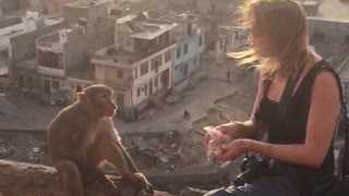 If You Give a Monkey a Munchie