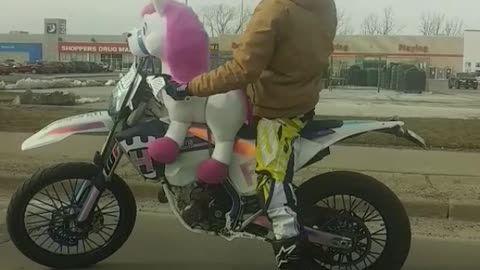 Man Takes His Stuffed Unicorn For A Strange Motorcycle Ride