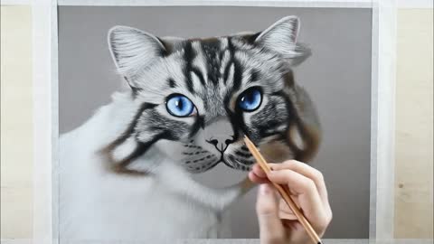 PHOTO REALISTIC CAT DRAWING | Color Pastel Pencil Animal Art - Time-Lapse