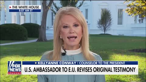 Kellyanne Conway On The Released Transcripts of 'RussiaGate'