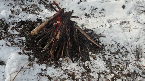 Bonfire in Jindo dog, Korea