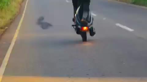 Funny stunt video