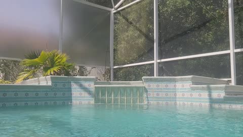 Tropical Pool side waterfall