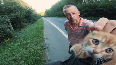 Biker Saves a Kitten in the Middle of the Highway