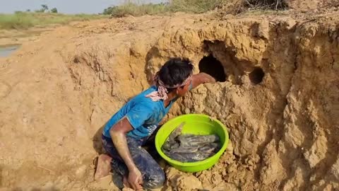 Really Amazing Traditional Video Of Hand Fishing In River Dry Mud Catch Big Fish