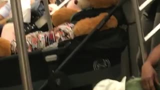 Giant teddy bear inside of a stroller
