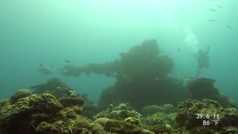 Truk Lagoon SCUBA deck gun Fujikawa Maru