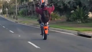 Wheelie Taken too Far