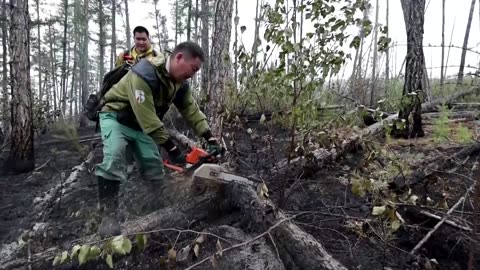 What is fueling massive Siberian wildfires?